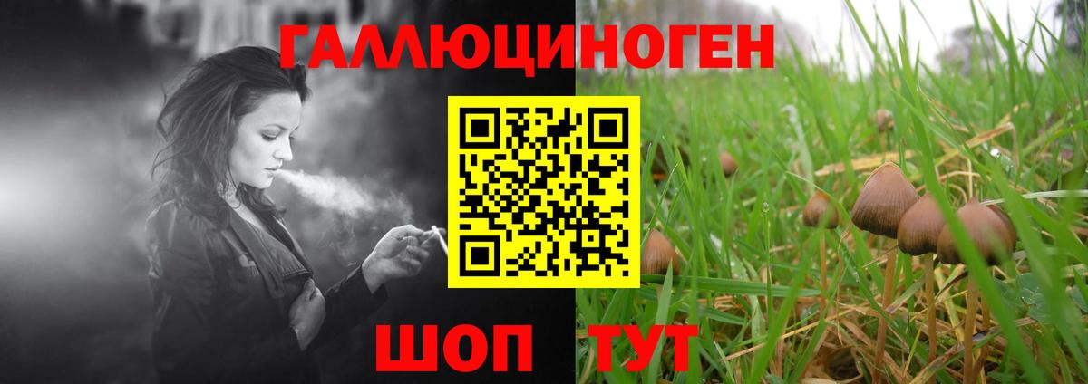 Галлюциногенные грибы MAGIC MUSHROOMS Новокузнецк