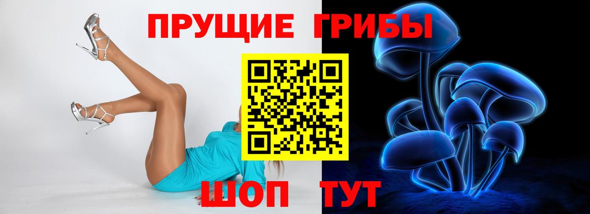 Псилоцибиновые грибы мицелий  Псилоцибиновые грибы Psilocybe  Вход с VPN  Новокузнецк 